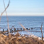 Norfolk Coast; Wild Norfolk; Norfolk Beaches