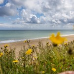 beach, beaches, north norfolk, norfolk, barn & Beach, Barn & Beach, Self-catering, holiday homes, seaside
