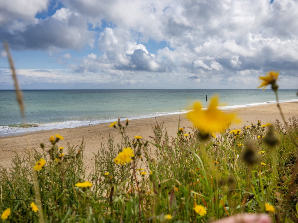 Beach View