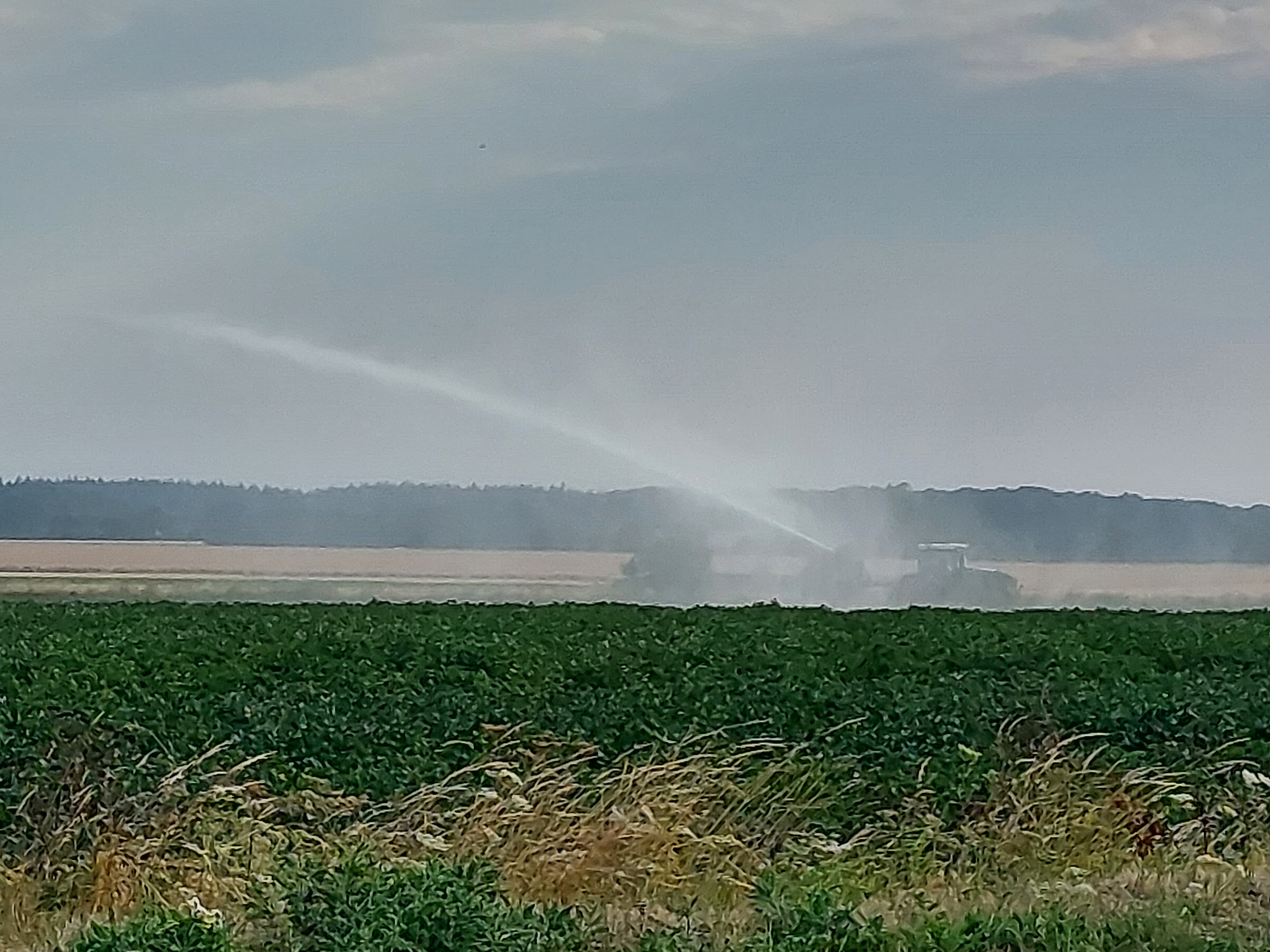 water canon, river bure, norfolk,norfolk broads, coltishall, buxton, barn and beach holidays, self catering, the canoe man, north norfolk, days out, canoeing, kayaking, paddling
